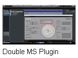 DMS-Plugin